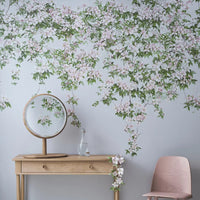 Classic Clematis