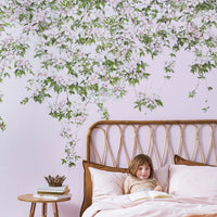 Classic Clematis