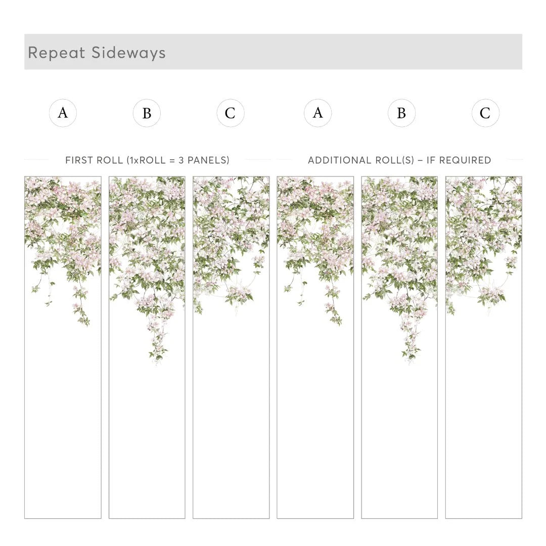 Classic Clematis