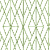 Riviera Bamboo Trellis