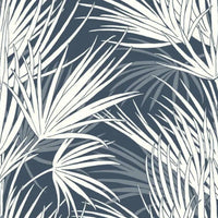 Palmetto