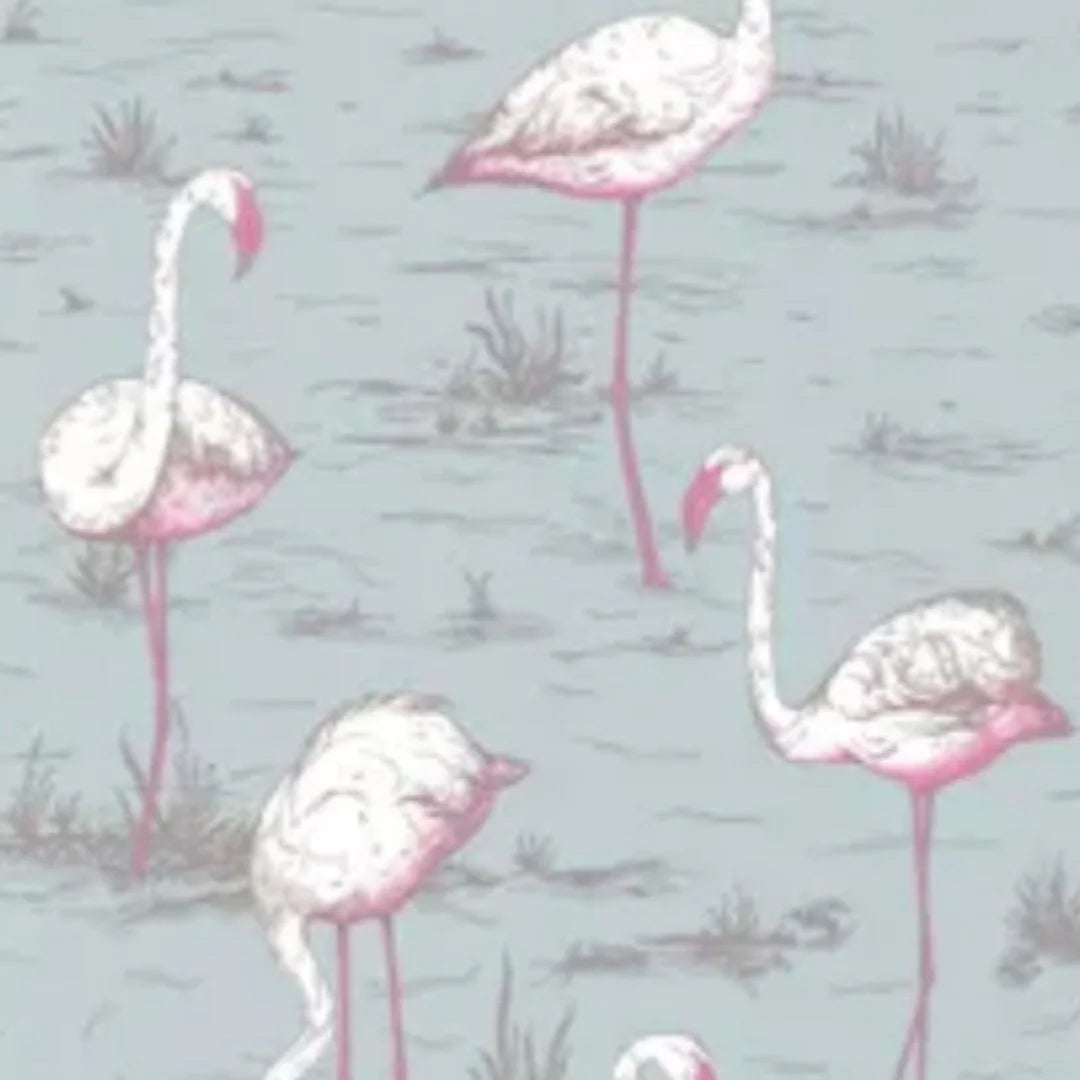 Flamingos